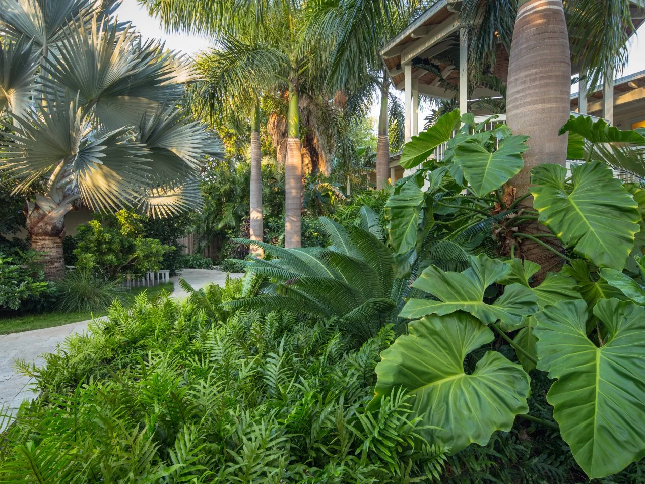 TROPICAL GARDEN